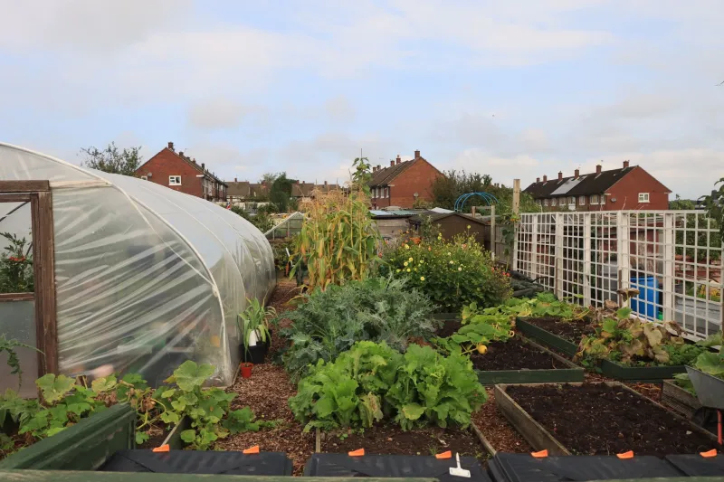 Mud Under the Fingernails: The Amateur Gardeners Who Quietly Transformed British Farming